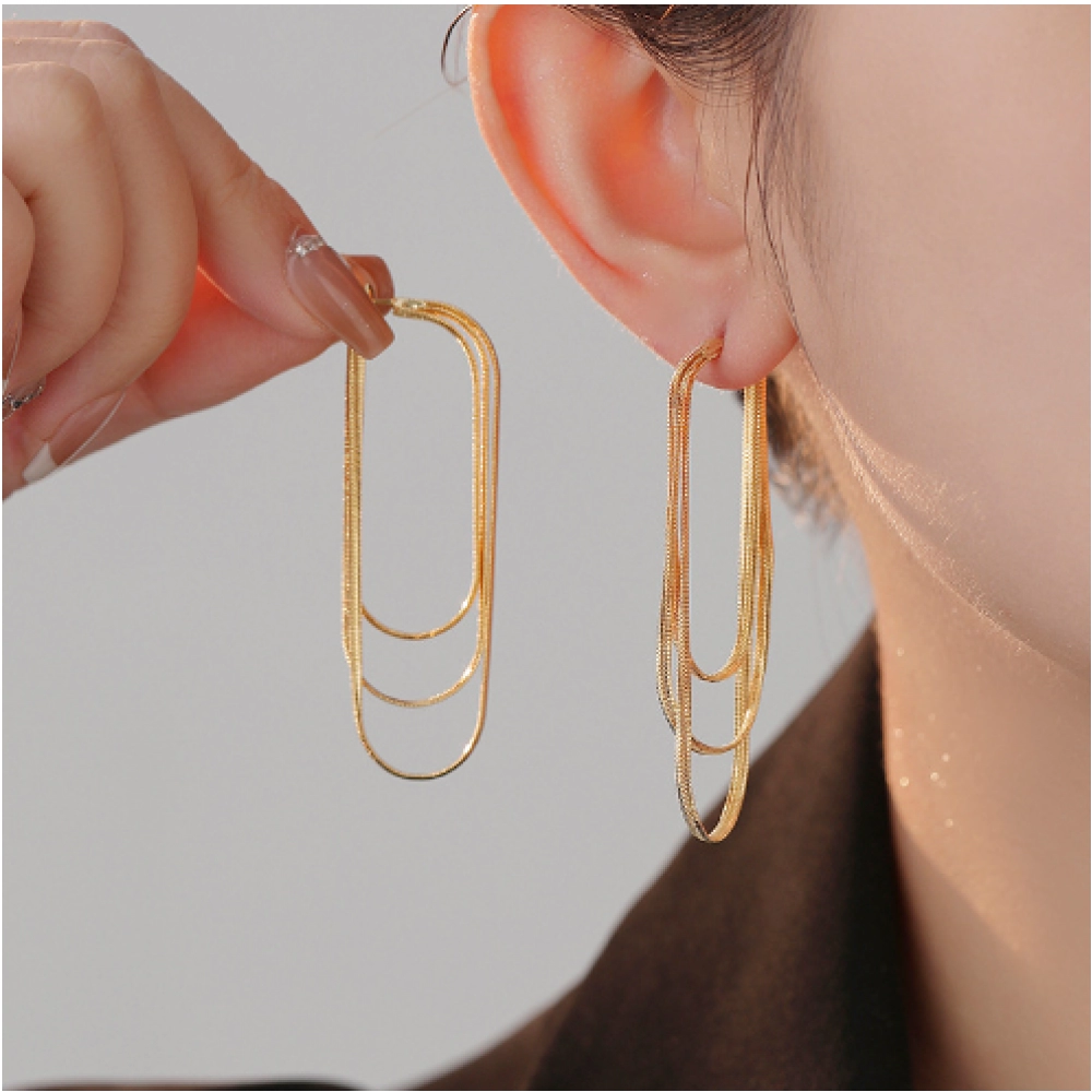 New Snake Bone Chain Tassel Earrings for Women's Summer Personalized Fashion Temperament Earrings with Advanced Feeling and Cold Style Earrings New Snake Bone Chain Tassel Earrings for Women's Summer Personalized Fashion Temperament Earrings with Advanced Feeling and Cold Style Earrings